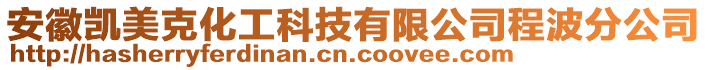 安徽凱美克化工科技有限公司程波分公司