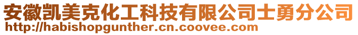 安徽凱美克化工科技有限公司士勇分公司