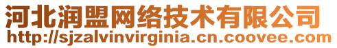 河北潤(rùn)盟網(wǎng)絡(luò)技術(shù)有限公司