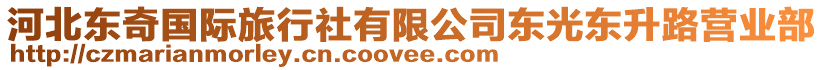 河北東奇國際旅行社有限公司東光東升路營業(yè)部