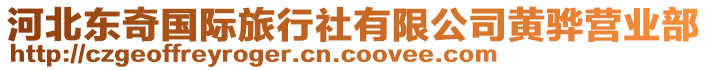 河北東奇國(guó)際旅行社有限公司黃驊營(yíng)業(yè)部