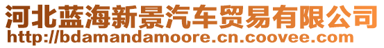 河北藍海新景汽車貿易有限公司
