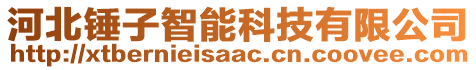 河北錘子智能科技有限公司