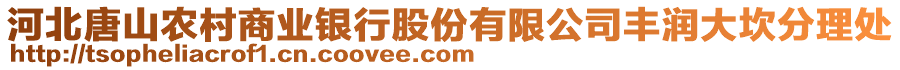 河北唐山農(nóng)村商業(yè)銀行股份有限公司豐潤(rùn)大坎分理處