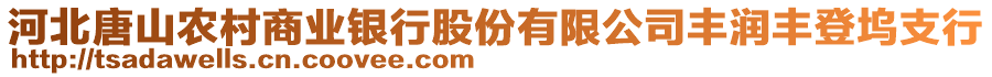 河北唐山農(nóng)村商業(yè)銀行股份有限公司豐潤豐登塢支行