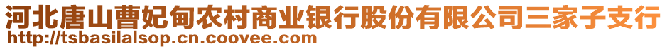 河北唐山曹妃甸农村商业银行股份有限公司三家子支行