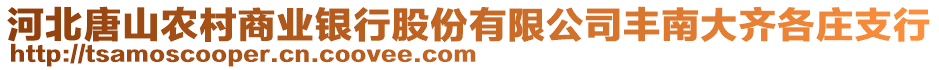 河北唐山農(nóng)村商業(yè)銀行股份有限公司豐南大齊各莊支行