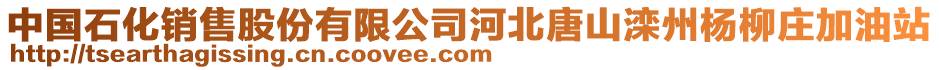 中國石化銷售股份有限公司河北唐山灤州楊柳莊加油站