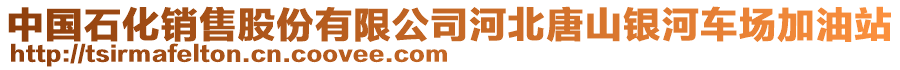 中國石化銷售股份有限公司河北唐山銀河車場加油站