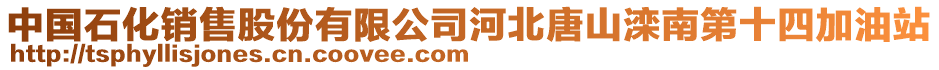 中國石化銷售股份有限公司河北唐山灤南第十四加油站