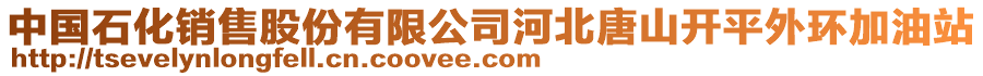 中國(guó)石化銷售股份有限公司河北唐山開平外環(huán)加油站