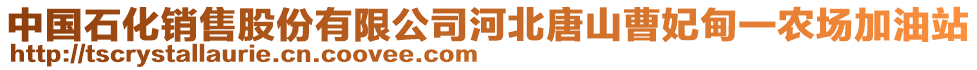 中國(guó)石化銷(xiāo)售股份有限公司河北唐山曹妃甸一農(nóng)場(chǎng)加油站