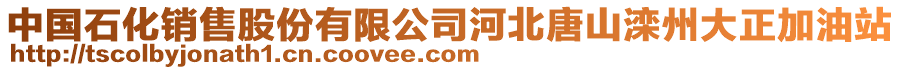 中國(guó)石化銷售股份有限公司河北唐山灤州大正加油站