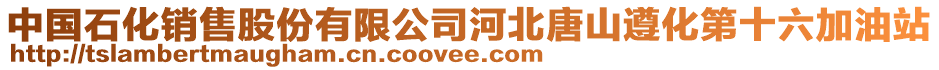 中國(guó)石化銷(xiāo)售股份有限公司河北唐山遵化第十六加油站