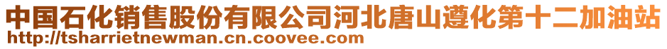 中國石化銷售股份有限公司河北唐山遵化第十二加油站