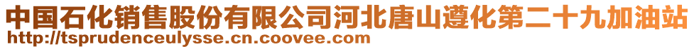 中国石化销售股份有限公司河北唐山遵化第二十九加油站