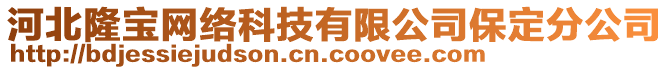 河北隆寶網(wǎng)絡(luò)科技有限公司保定分公司