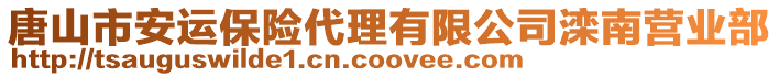 唐山市安運(yùn)保險(xiǎn)代理有限公司灤南營(yíng)業(yè)部