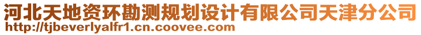 河北天地資環(huán)勘測(cè)規(guī)劃設(shè)計(jì)有限公司天津分公司