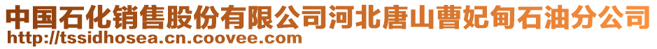 中國(guó)石化銷售股份有限公司河北唐山曹妃甸石油分公司