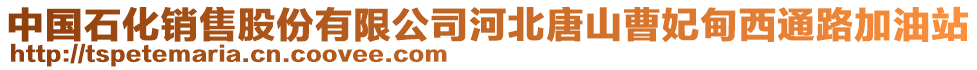 中国石化销售股份有限公司河北唐山曹妃甸西通路加油站