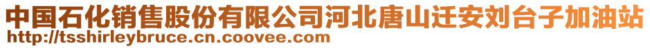 中國石化銷售股份有限公司河北唐山遷安劉臺子加油站