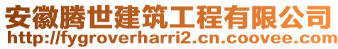 安徽腾世建筑工程有限公司