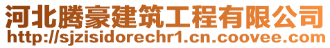 河北騰豪建筑工程有限公司