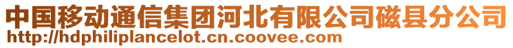 中國移動通信集團河北有限公司磁縣分公司