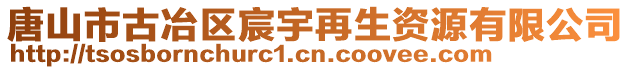 唐山市古冶區(qū)宸宇再生資源有限公司