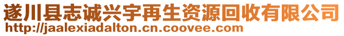 遂川縣志誠興宇再生資源回收有限公司