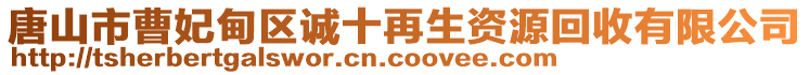 唐山市曹妃甸區(qū)誠十再生資源回收有限公司