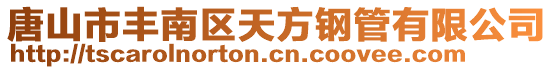 唐山市豐南區(qū)天方鋼管有限公司