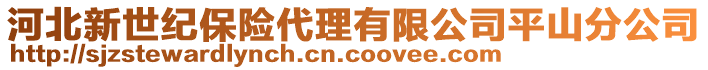 河北新世纪保险代理有限公司平山分公司