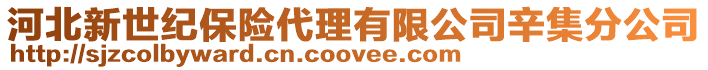 河北新世紀(jì)保險(xiǎn)代理有限公司辛集分公司