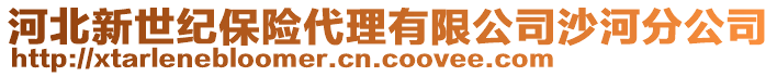 河北新世紀(jì)保險(xiǎn)代理有限公司沙河分公司