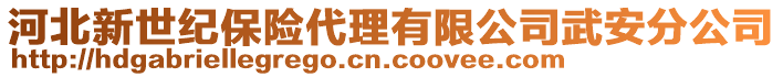 河北新世紀保險代理有限公司武安分公司