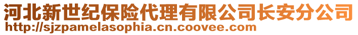 河北新世紀保險代理有限公司長安分公司