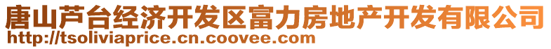 唐山蘆臺經(jīng)濟開發(fā)區(qū)富力房地產(chǎn)開發(fā)有限公司