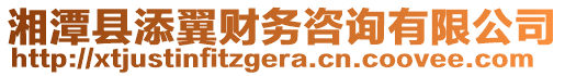 湘潭縣添翼財務咨詢有限公司