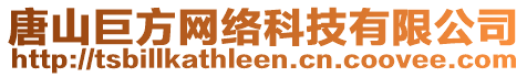 唐山巨方網(wǎng)絡(luò)科技有限公司