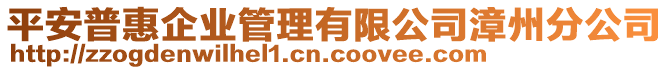 平安普惠企业管理有限公司漳州分公司