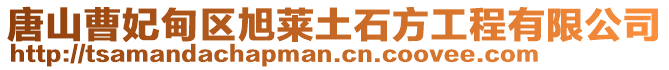 唐山曹妃甸區(qū)旭萊土石方工程有限公司