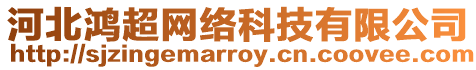 河北鴻超網絡科技有限公司