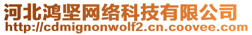 河北鴻堅網(wǎng)絡(luò)科技有限公司