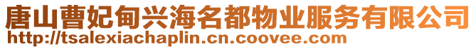 唐山曹妃甸興海名都物業(yè)服務(wù)有限公司