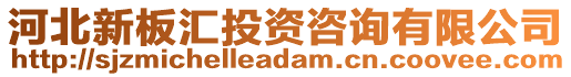 河北新板匯投資咨詢有限公司