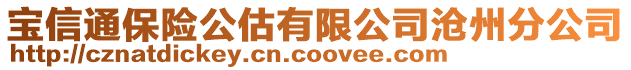 寶信通保險公估有限公司滄州分公司