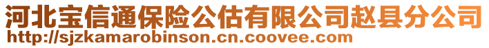 河北寶信通保險公估有限公司趙縣分公司