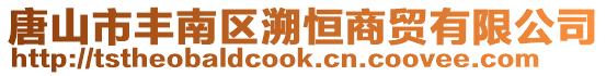 唐山市豐南區(qū)溯恒商貿(mào)有限公司